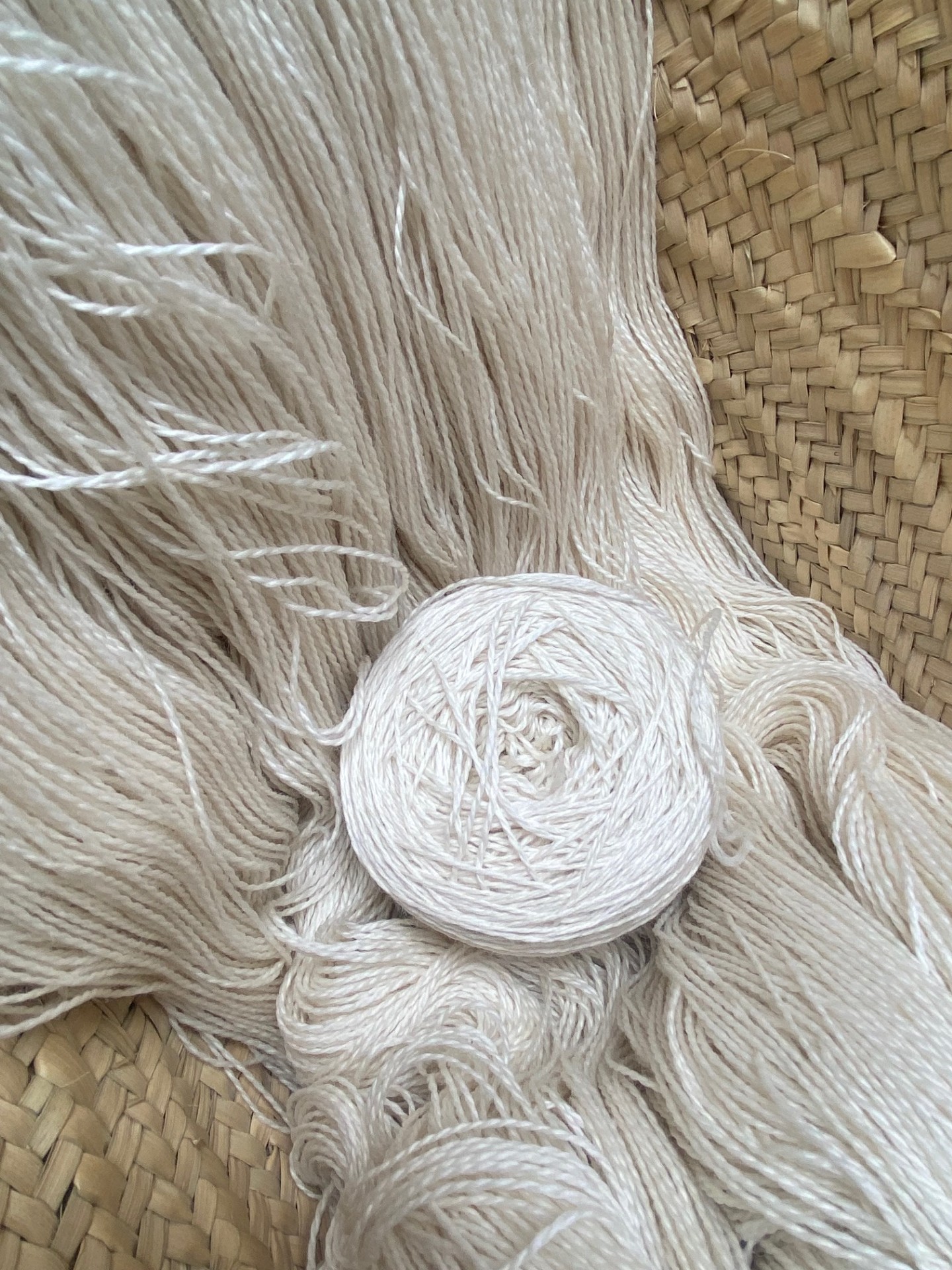 Sire Haven - Imagen 2