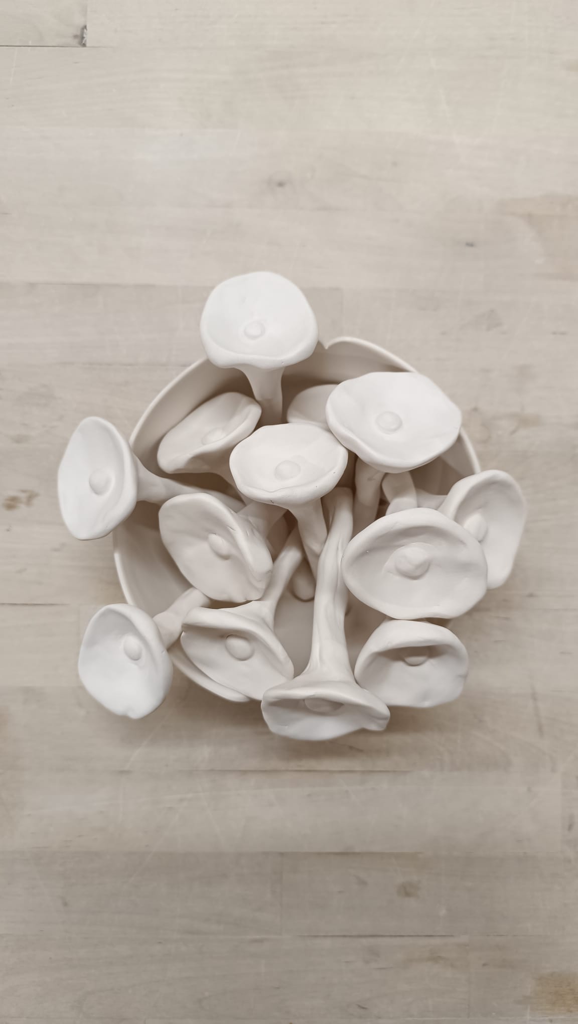 Bee Cups - Imagen 3